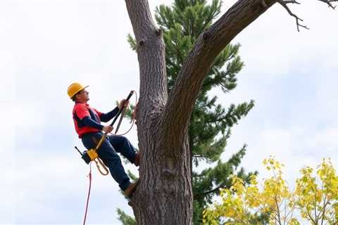 Indicators On Best Tree Removal In Utah County You Should Know
