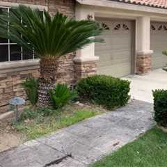 Curb Theory Landscaper & Hardscaper Summerlin, NV
