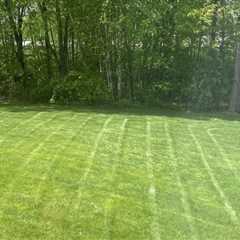 The Hidden Link Between Arboriculture And Effective Lawn Fertilizing In Derry, NH