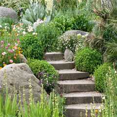 Beautiful and Responsible: How Sustainable Landscaping Products Transform Outdoor Spaces