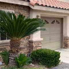 Front Yard Landscaper Summerlin, NV