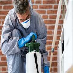 Protect Your Investment: Hire The Right Flea Exterminator In Longwood For Hardwood Floor Safety