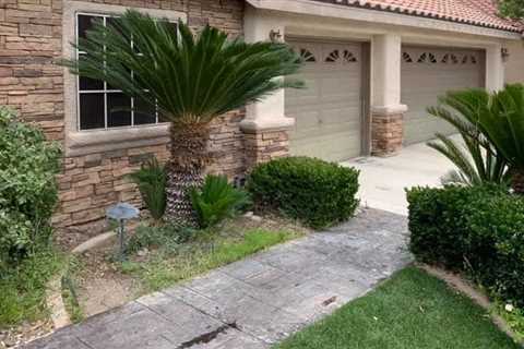Curb Theory Landscaper & Hardscaper Summerlin, NV
