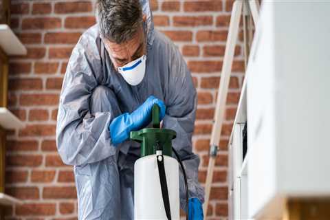 Protect Your Investment: Hire The Right Flea Exterminator In Longwood For Hardwood Floor Safety