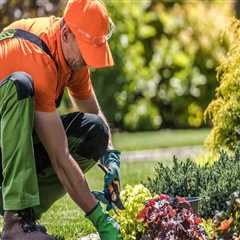 Why Professional Lawn Service Is Essential After A Landscape Architect’s Work In Orange Park, FL
