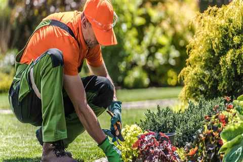 Why Professional Lawn Service Is Essential After A Landscape Architect’s Work In Orange Park, FL