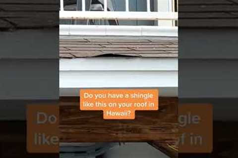 Do you have a shingle like this on your roof? with FBC Roofing Hawaii Oahu Local Roofing Company