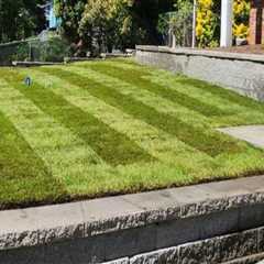 The Perfect Sequence: Hiring A Landscape Architect First, Then An Electrical Contractor In..