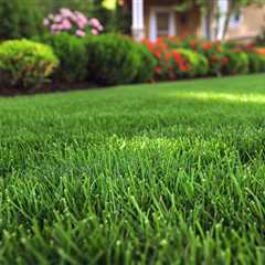 Victoria Point Lawn Mowing And Gardening Services