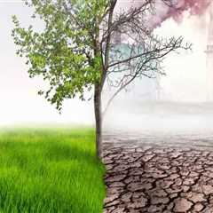 The Overlooked Impact of Tree Canopy Density on Energy Costs and Comfort
