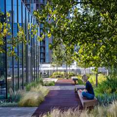 A Comprehensive Guide to Green Roofs