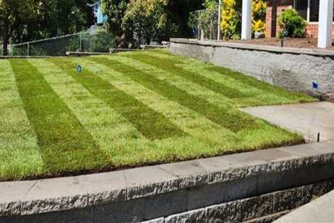 The Perfect Sequence: Hiring A Landscape Architect First, Then An Electrical Contractor In..