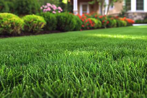 Victoria Point Lawn Mowing And Gardening Services