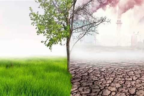 The Overlooked Impact of Tree Canopy Density on Energy Costs and Comfort