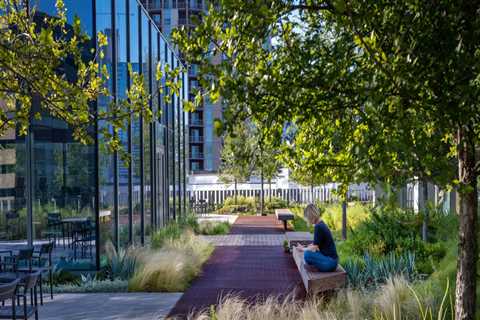 A Comprehensive Guide to Green Roofs