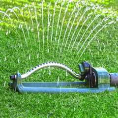 The Importance Of Professional Irrigation And Tree Services In Northern Virginia