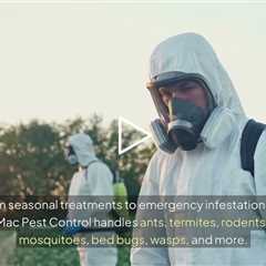 PJ Mac Pest Control Horsham, PA - PJ Mac Pest Control