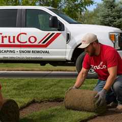 West Valley City Utah Sod Installation