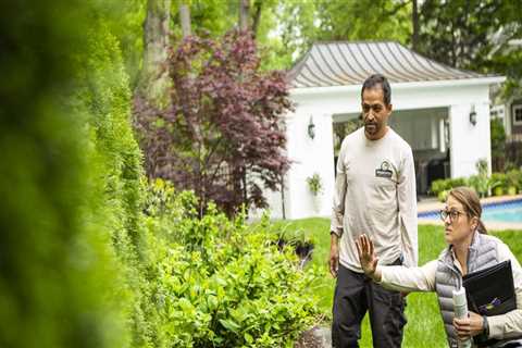 How Routine Lawn Care Service Supports Long-Term Lawn Pest Control In Northern VA