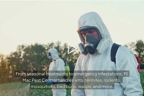 PJ Mac Pest Control Horsham, PA - PJ Mac Pest Control