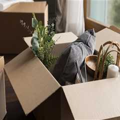 What Happens Between Jobs: The Downtime and Hustle of Local Moving Crews