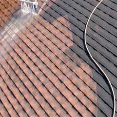 How Algae and Mold Growth Can Lead to Hidden Moisture Problems on Metal Roofs