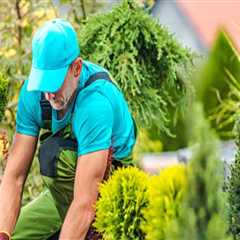 Transform Your Portland Landscape with Expert Tree Felling and Garden Plants