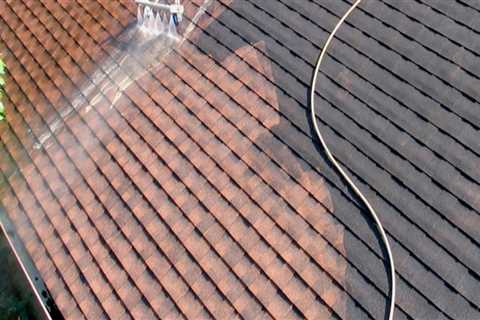 How Algae and Mold Growth Can Lead to Hidden Moisture Problems on Metal Roofs