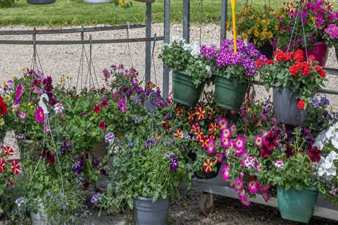 Transform Your Yard with Expert Tree Care and Lighting