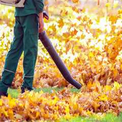 From Cleanups to Care: A Guide to Seasonal Landscaping Services
