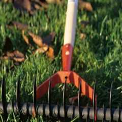 Enhance Your Fleming Island Home with Expert Lawn Sod Installation and Front Yard Landscaping