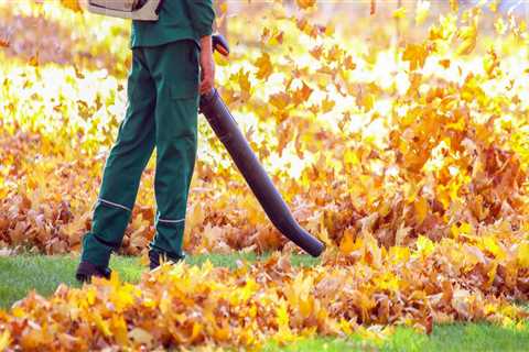 From Cleanups to Care: A Guide to Seasonal Landscaping Services