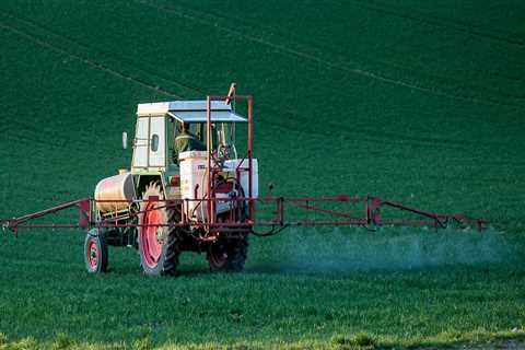 Outdoor Pest Control for a Healthier Home Environment