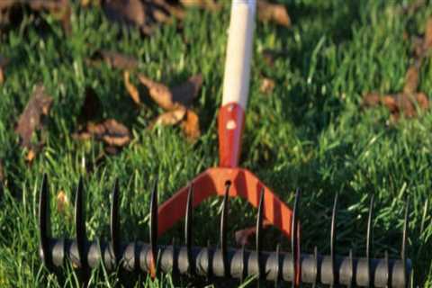 Enhance Your Fleming Island Home with Expert Lawn Sod Installation and Front Yard Landscaping