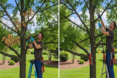 The Difference Between Structural Pruning and Cosmetic Trimming