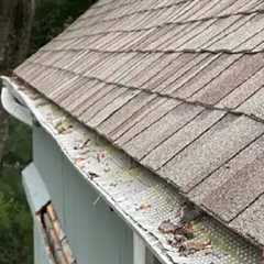 Gutter Specialists Albrightsville, PA · Sunday, Nov 30, 2025 📸