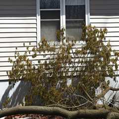 How to Spot Storm Damage on Your Roof Before It’s Too Late