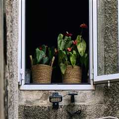 Enhance Your Home with Marvin Windows Installation in Vancouver, WA