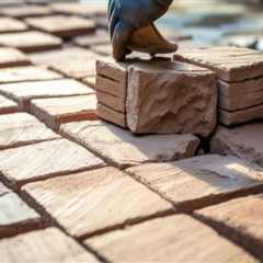 Enhance Your Yard with Expert Tree Felling and Landscaping