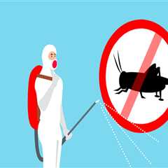 DIY Pest Control vs. Hiring Professionals in MA