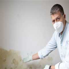 Why a Mold Inspection Can Reveal the Need for a Plumbing Inspection in Phoenix, AZ
