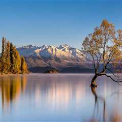 Top Rated Residential Painters in Belmont