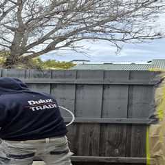 Hiring Professional Interior Painters in Belmont