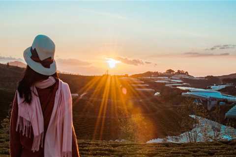 Experienced Commercial Painters in Dee Why