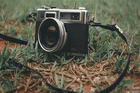 Local Painters Dee Why: Professional Painting Services