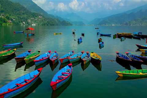 Professional Painters in Dee Why: Reliable House Painting