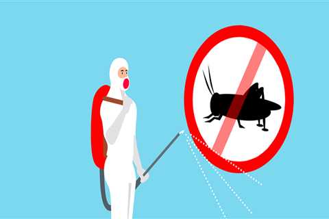 DIY Pest Control vs. Hiring Professionals in MA