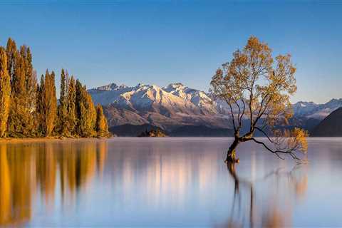 Top Rated Residential Painters in Belmont