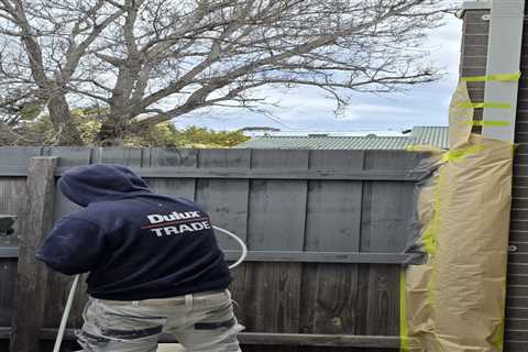 Hiring Professional Interior Painters in Belmont