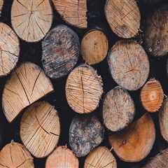 Enhance Tree Health with Expert Trimming in Warminster